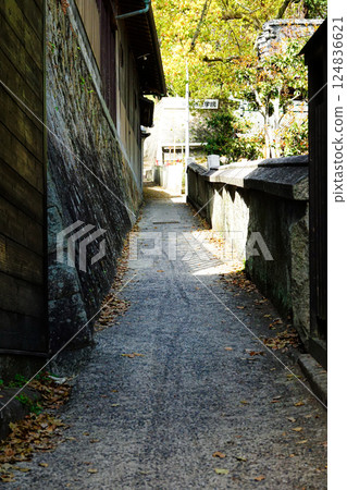 A view from the Cat Alley in Onomichi City 124836621