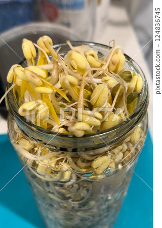 Bean sprouts Bean sprouts 124836745