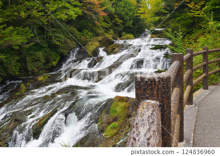 日光龍頭瀑布散步道(龍頭瀑布散步道)栃木縣日光市 日光龍頭瀑布散步道(龍頭瀑布散步道)栃木縣日光市 124836960