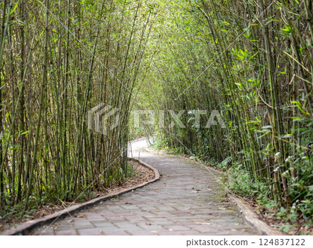 Photo taken in Baguio 124837122