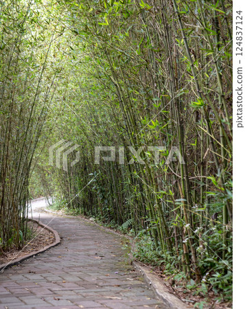 Photo taken in Baguio 124837124