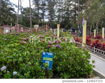 Photo taken in Baguio Photo taken in Baguio 124837153