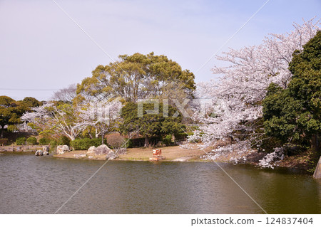 Spring in Sodegaura Park, Sodegaura City, Chiba Prefecture Spring in Sodegaura Park, Sodegaura City, Chiba Prefecture 124837404