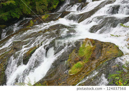 日光龍頭瀑布散步道(龍頭瀑布散步道)栃木縣日光市 日光龍頭瀑布散步道(龍頭瀑布散步道)栃木縣日光市 124837568