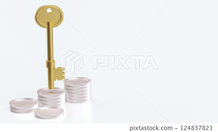 The Key and coins for Business concept 3d Rendering. 124837821