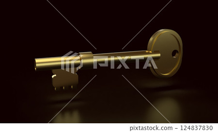 The Gold key for security or business concept 3d Rendering. 124837830
