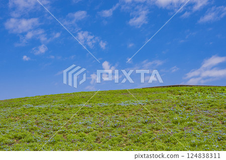 Grassland and clear blue sky image material 124838311
