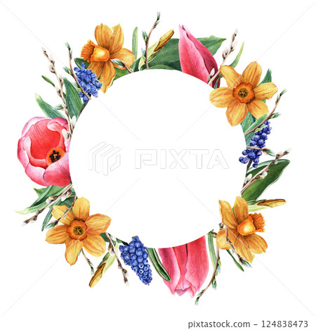 Round frame, wreath with daffodils, narcissi, tulips and grape hyacinth, muscari, pussy willow branches. Hand drawn botanical watercolor illustration isolated on white. For clip art cards invitation Round frame, wreath with daffodils, narcissi, tulips and grape hyacinth, muscari, pussy willow branches. Hand drawn botanical watercolor illustration isolated on white. For clip art cards invitation 124838473