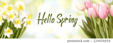 White daffodils with Hello Spring text on light background, seasonal spring postcard 124838859