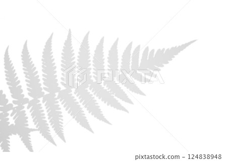 Fern branch shadow. Leaf shadow overlay. Sunlight trough the leaf. Nature organic shadow. Blurred Leaf shadow and light on wall background. 3d rendering 124838948