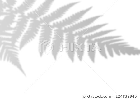 Fern branch shadow. Leaf shadow overlay. Sunlight trough the leaf. Nature organic shadow. Blurred Leaf shadow and light on wall background. 3d rendering Fern branch shadow. Leaf shadow overlay. Sunlight trough the leaf. Nature organic shadow. Blurred Leaf shadow and light on wall background. 3d rendering 124838949