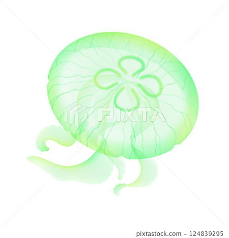 月亮水母_綠色 月亮水母_綠色 124839295
