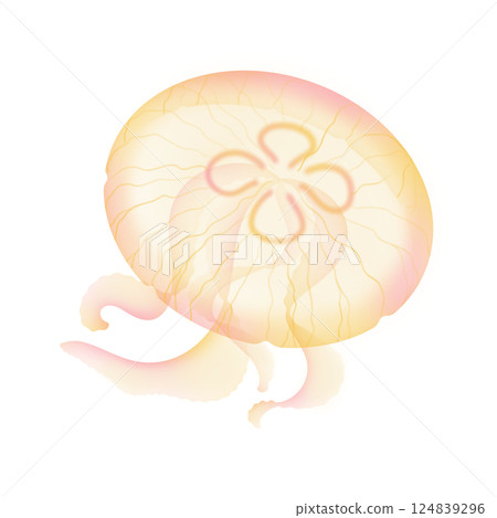 Moon jellyfish_yellow Moon jellyfish_yellow 124839296