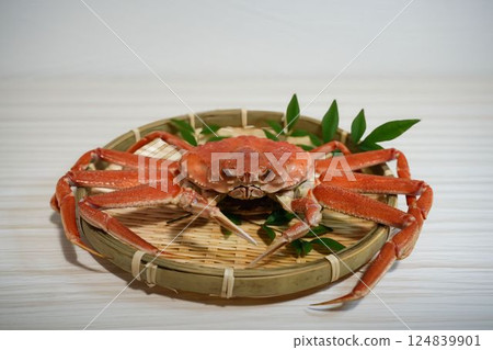 Freshly boiled giant snow crab Freshly boiled giant snow crab 124839901