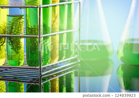 Algae fuel biofuel industry lab researching for alternative to fossil algae fuel or algal biofuel. Zero carbon emission concept. Algae fuel biofuel industry lab researching for alternative to fossil algae fuel or algal biofuel. Zero carbon emission concept. 124839923