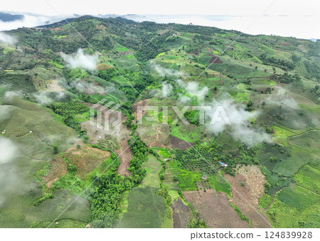 The biggest cause of forest loss is agricultural deforestation ,environmental damage in Southeast Asia , global warming and environment. The biggest cause of forest loss is agricultural deforestation ,environmental damage in Southeast Asia , global warming and environment. 124839928