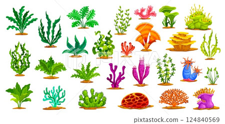 Cartoon underwater algae seaweeds, sea coral reef kelp and sponges, vector icons. Tropical undersea corals and seaweeds, sea and ocean seabed and underwater plants or actinia and aquatic flowers 124840569