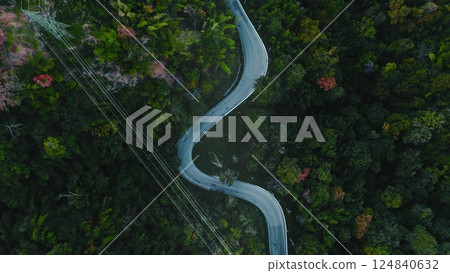 Aerial drone view of a winding road making its way through a dense, lush green forest, showcasing power lines alongside the road and the natural beauty of the landscape 124840632