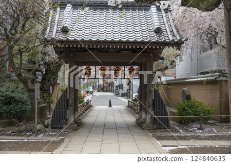 新井山梅書院的春天（新井藥師） 124840635