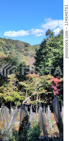Monju Forest spreads out amongst beautiful nature 124840781