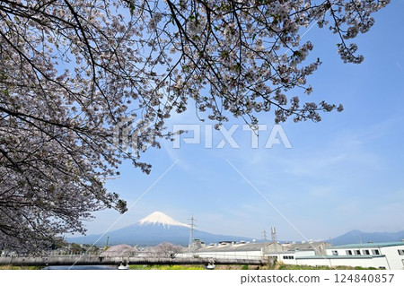 烏井川龍岩渓瀑布沿岸的櫻花樹 烏井川龍岩渓瀑布沿岸的櫻花樹 124840857