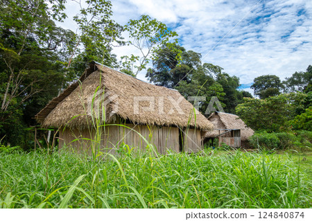Traditional hut in Siona indigenous village, Cuyabeno Reserve, Amazonia, Ecuador 124840874