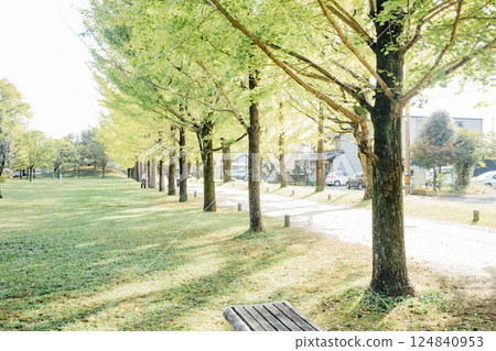 <學習森林>銀杏樹線 <學習森林>銀杏樹線 124840953