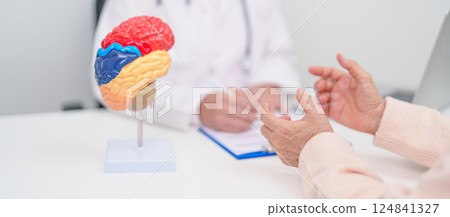 Elderly Patient consulting Doctor to Brain disease, Senior Health Medical Diagnosis. Anatomy Brain model for Explanation, Brain Tumor, neurological disorders, Dementia, alzheimer, parkinson and Mental Elderly Patient consulting Doctor to Brain disease, Senior Health Medical Diagnosis. Anatomy Brain model for Explanation, Brain Tumor, neurological disorders, Dementia, alzheimer, parkinson and Mental 124841327