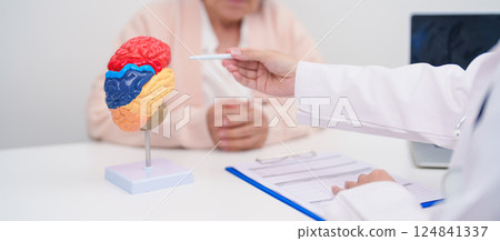 Elderly Patient consulting Doctor to Brain disease, Senior Health Medical Diagnosis. Anatomy Brain model for Explanation, Brain Tumor, neurological disorders, Dementia, alzheimer, parkinson and Mental 124841337