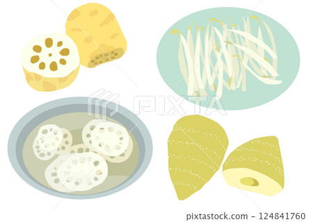 Illustration of lotus root, bean sprouts and bamboo shoots Illustration of lotus root, bean sprouts and bamboo shoots 124841760