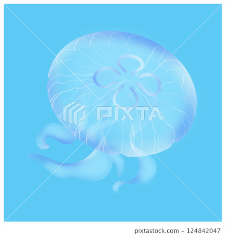Moon jellyfish_light blue 124842047