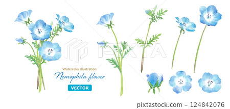 春天的花朵：一束粉蝶花的水彩插圖。各種組件。 （向量） 124842076