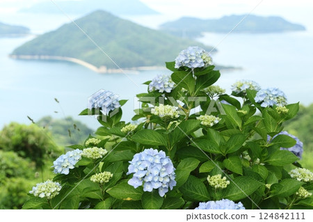 Mount Shiun 2 124842111