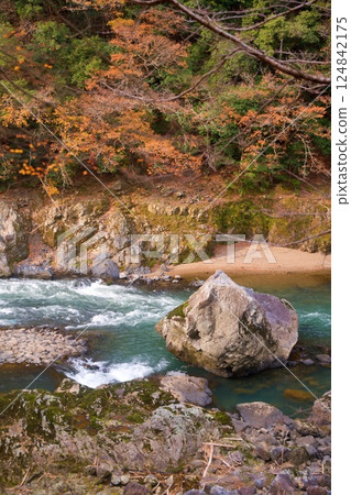 從有軌電車窗口看到的風景 124842175