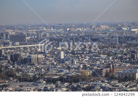 Aerial View of Crowded Residential Area in Tokyo Japan Dec 8 2024 124842299