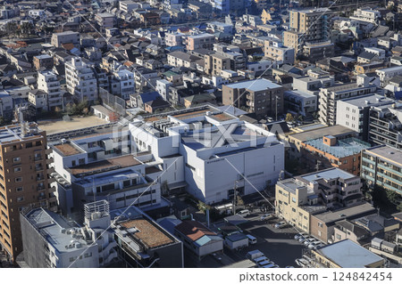 sprawling aerial view of a densely populated urban area Dec 8 2024 sprawling aerial view of a densely populated urban area Dec 8 2024 124842454