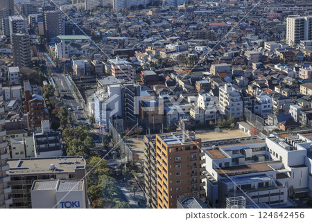sprawling aerial view of a densely populated urban area Dec 8 2024 sprawling aerial view of a densely populated urban area Dec 8 2024 124842456