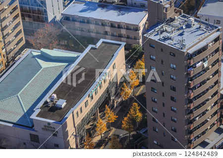 the Residential and Commercial Buildings in Tokyo Japan Dec 8 2024 124842489