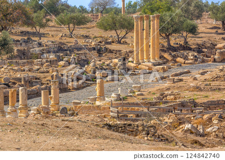 Roman road of Gadara Umm Qais, Jordan Roman road of Gadara Umm Qais, Jordan 124842740