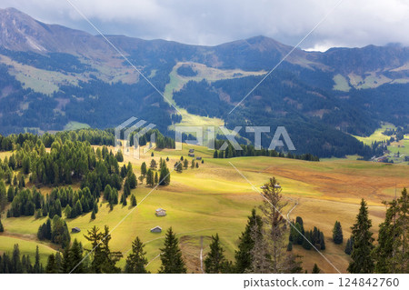 Alpe di Siusi, Italy aerial panorama, Dolomites Alpe di Siusi, Italy aerial panorama, Dolomites 124842760