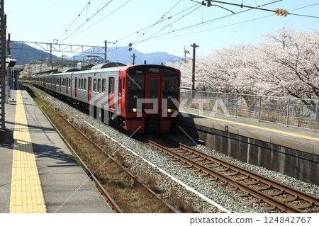 A local train bound for Mojiko leaves Ebitsu Station with cherry blossoms in full bloom. A local train bound for Mojiko leaves Ebitsu Station with cherry blossoms in full bloom. 124842767