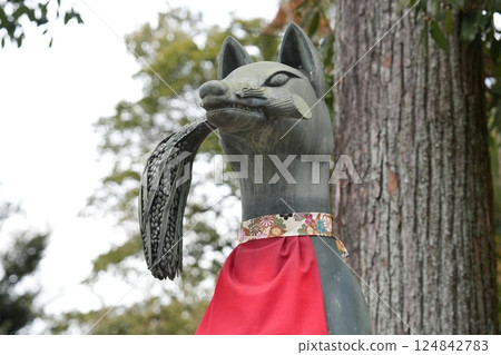 Fushimi-Inari Taisha Shrine的狐狸 124842783