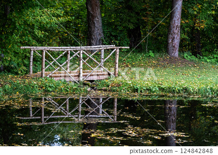 Wooden bridge over a stream near a pond. 124842848