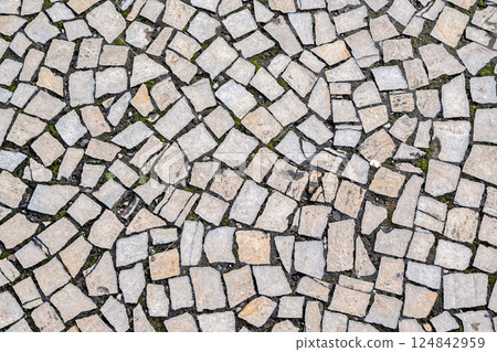 Area lined with flat stones. 124842959