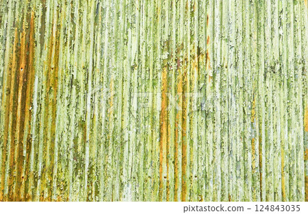 Moss green tin wall Moss green tin wall 124843035
