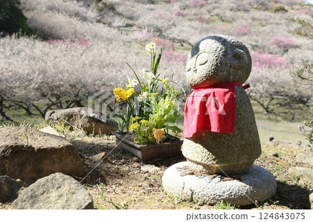 Ayabeyama Umebayashi 1 Ayabeyama Umebayashi 1 124843075