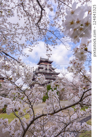 盛開的櫻花和伏見桃山城 124843325