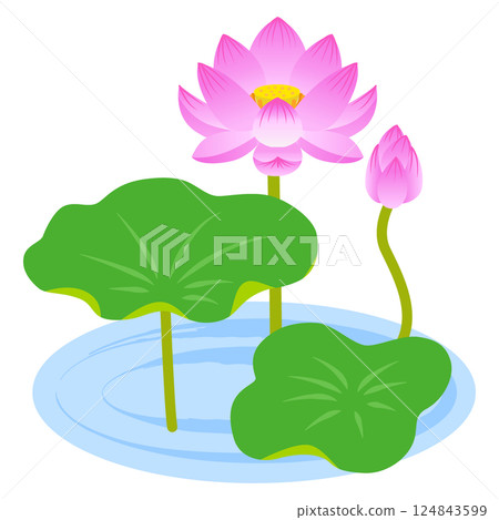 蓮花例證 蓮花例證 124843599