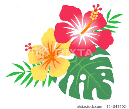 Hibiscus flower illustration 124843602