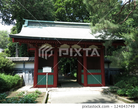 Zuishinmon Gate at Senba Toshogu Shrine in Kawagoe City 124843749